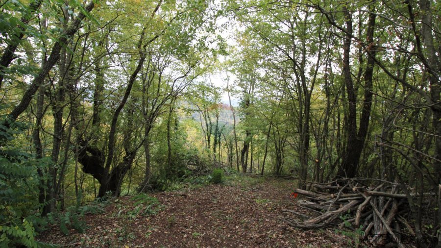 Istra, Oprtalj, imanje s otvorenim pogledom - 3