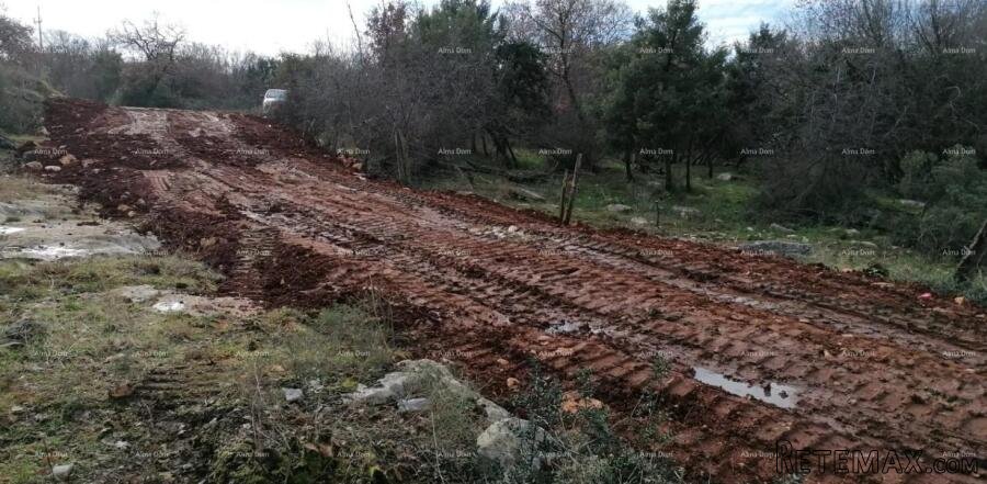 Prodaje se građevinsko zemljište, Tar (Tar-Vabriga) - 3
