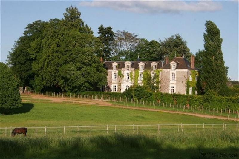 Chateau With Gite, 12 Bedrooms, Garage.. - 2