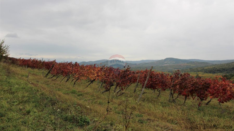 Istra, Oprtalj, imanje s otvorenim pogledom - 8