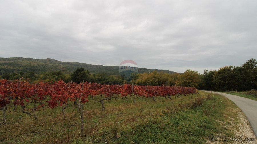 Istra, Oprtalj, imanje s otvorenim pogledom - 9