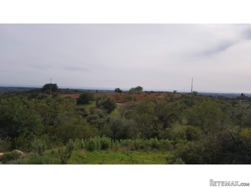 Large Plot With 300m2 Possible Built.. - 2