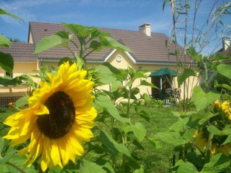 3 Bedroom Detached House For Sale - 2
