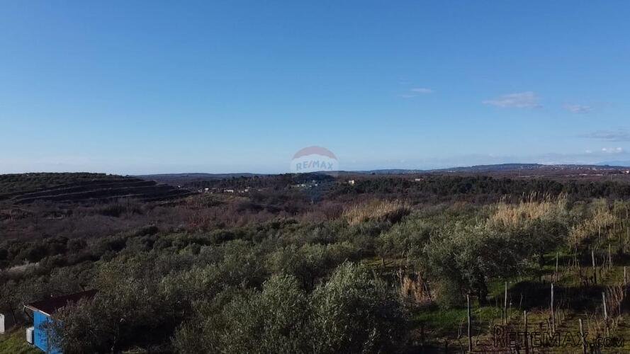 Istra, Buje - Građevinsko zemljište s pogledom na more - 2