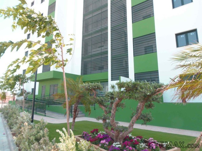 Los apartamentos se ubican en Mil Palmeras, en un complejo.. - 2