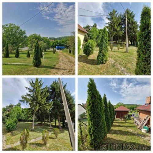 Prodaja kuce sa prelepim placem od 22ara - 3