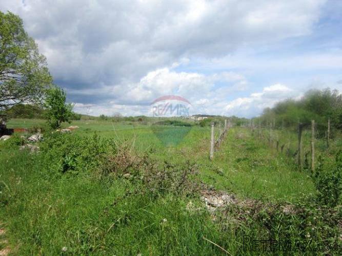 ISTRA, PRODOL, zemljište na mirnoj lokaciji - 4