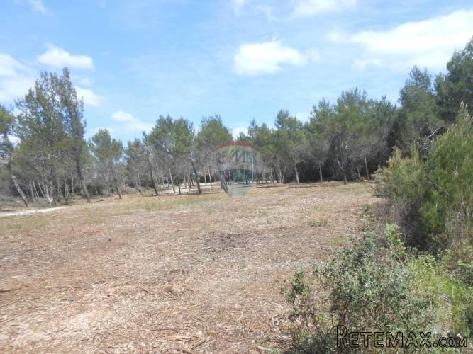 Istra, Marčana, Kavran, parcelirano poljoprivredno zemljište - 3