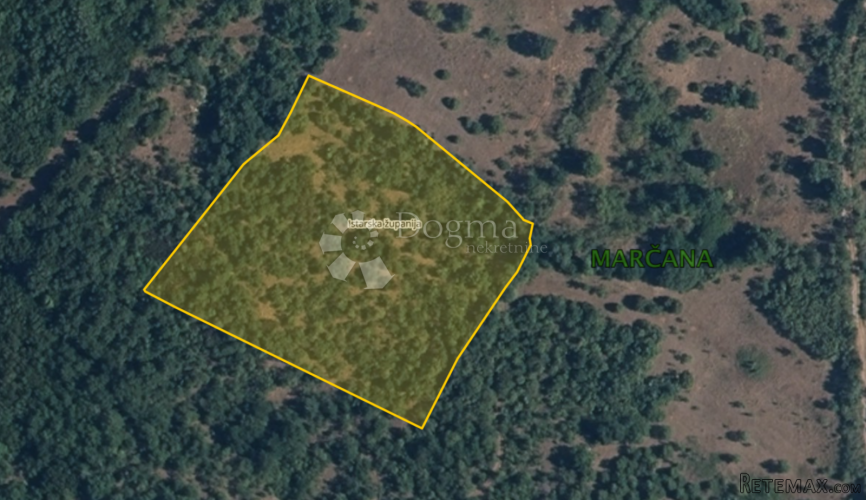 Oranica obrasla šumom, Marčana, 11.600 m² - 2