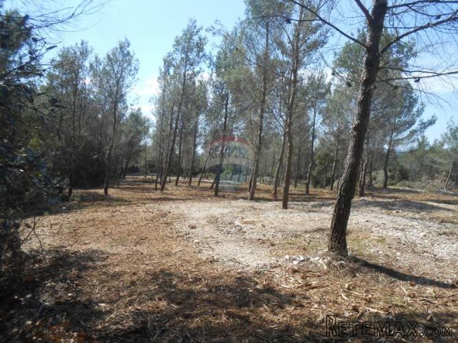 Istra, Marčana, Kavran, parcelirano poljoprivredno zemljište - 4