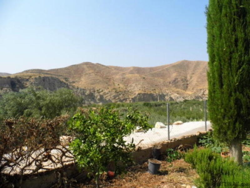 Cortijo / Country House in Arboleas - 2