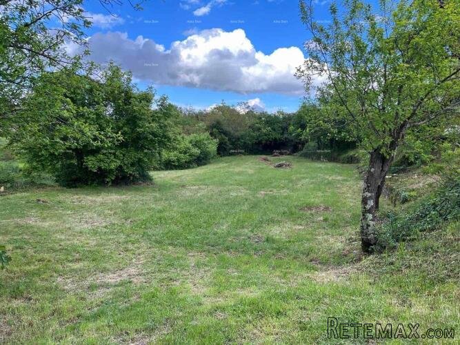 Prodaje se građevinsko zemljište, 1137 m2, Kanfanar - 5