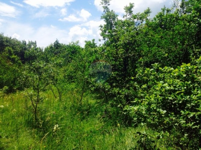 Veliko građevinsko zemljište - 5