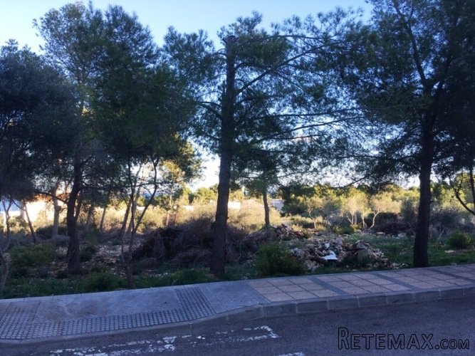 This fantastic plot located in Sol de Mallorca has a south..