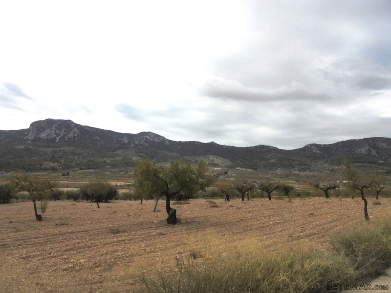 Undeveloped Land of 11,000m2 With Good..