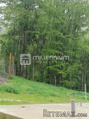 Gorski kotar, 30.000m2 zemljišta s jelenima - 2