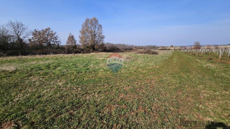 Istra, Umag okolica- poljoprivredno zemljište - 2