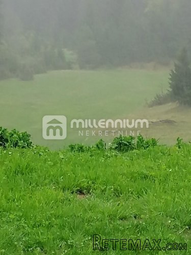Gorski kotar, 30.000m2 zemljišta s jelenima - 3