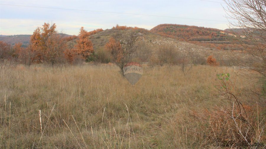 Istra,okolica Momjana, građevinski teren
