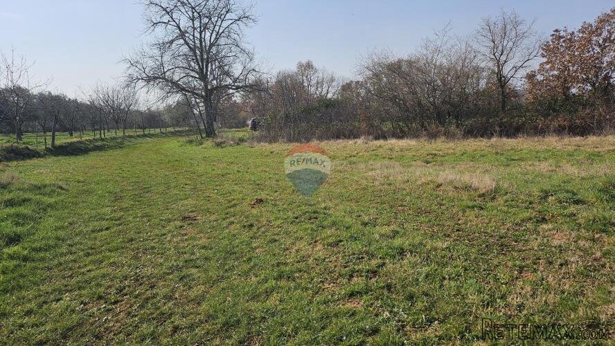 Istra, Umag okolica- poljoprivredno zemljište - 3
