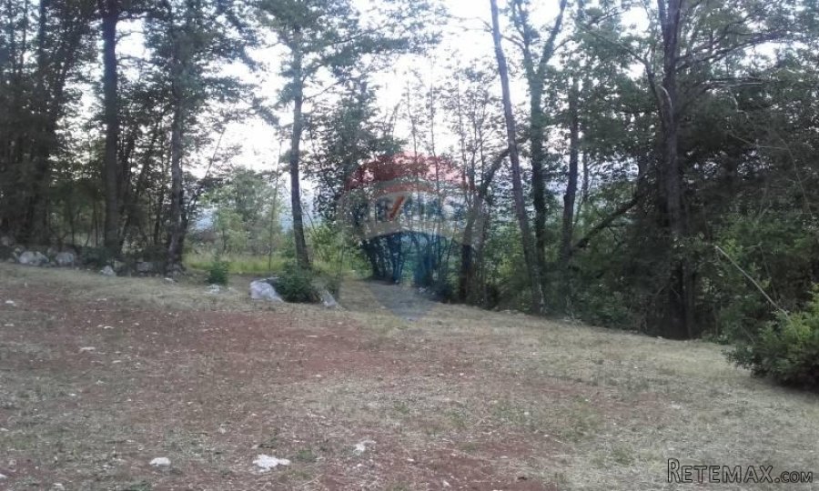 MATULJI - RUKAVAC - NEGRAĐEVINSKI TEREN 2349 m2 U BLIZINI NA - 3