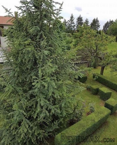 kuca na prodaju Kragujevac-Draca - 4