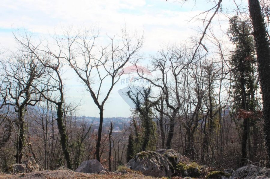 MATULJI - RUKAVAC - NEGRAĐEVINSKI TEREN 2349 m2 U BLIZINI NA - 4