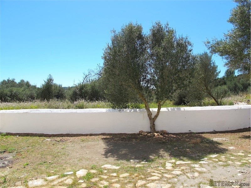 4 Bedrooms - Property - Ibiza - For Sale - 2