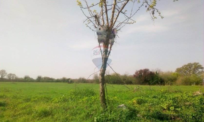 Istra,Krnica, veliko građevinsko zemljište 25eur/m2 - 4