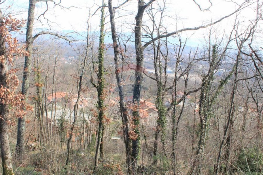 MATULJI - RUKAVAC - NEGRAĐEVINSKI TEREN 2349 m2 U BLIZINI NA - 5