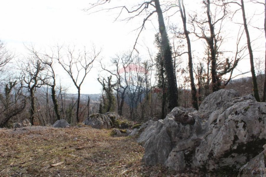 MATULJI - RUKAVAC - NEGRAĐEVINSKI TEREN 2349 m2 U BLIZINI NA - 7