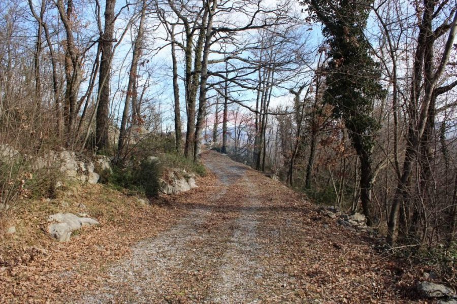 MATULJI - RUKAVAC - NEGRAĐEVINSKI TEREN 2349 m2 U BLIZINI NA - 8
