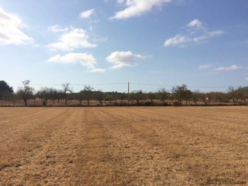 Building plot in a quiet area and open..