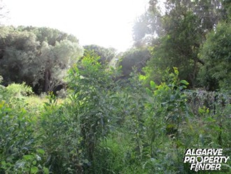 Te Koop: Bouwkavel In Centraal Algarve.. - 2