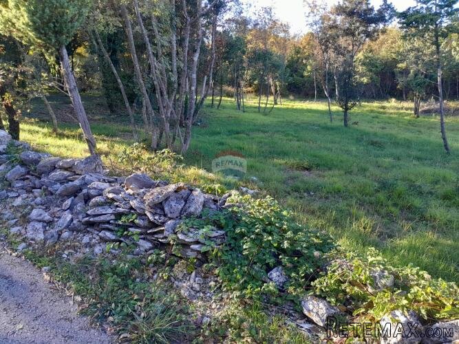 Istra,Rakalj,građevinsko zemljište 984 m2 - 2