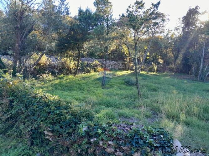 Istra,Rakalj,građevinsko zemljište 984 m2 - 3