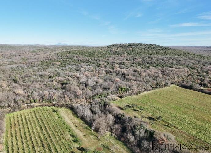 Poljoprivredno zemljište 3453m2,Bale-Istra