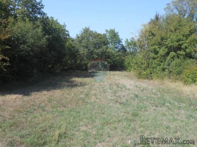 Istra, okolica Žminja, građevinska parcela od 1800 m2 - 4
