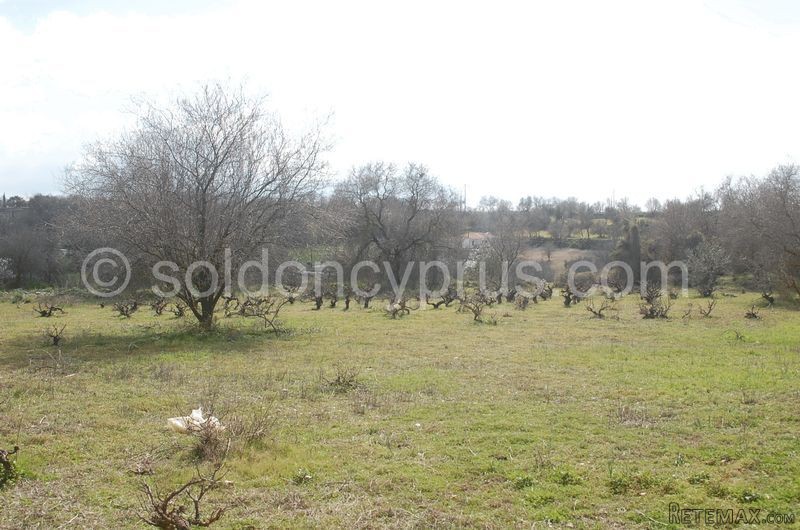 - Land - Paphos - For Sale - 2
