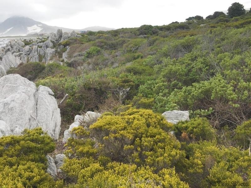 Bettys Bay Vacant Land, Bettys Bay - 2