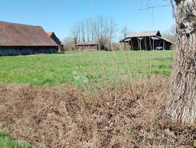 Kuća s velikom okućnicom na 7.960 m² – Tedrovec - 3