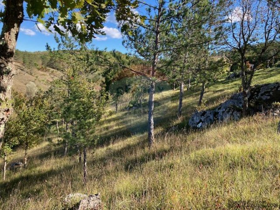 Trviž, zemljište turističke namjene 14374 m2 - 3