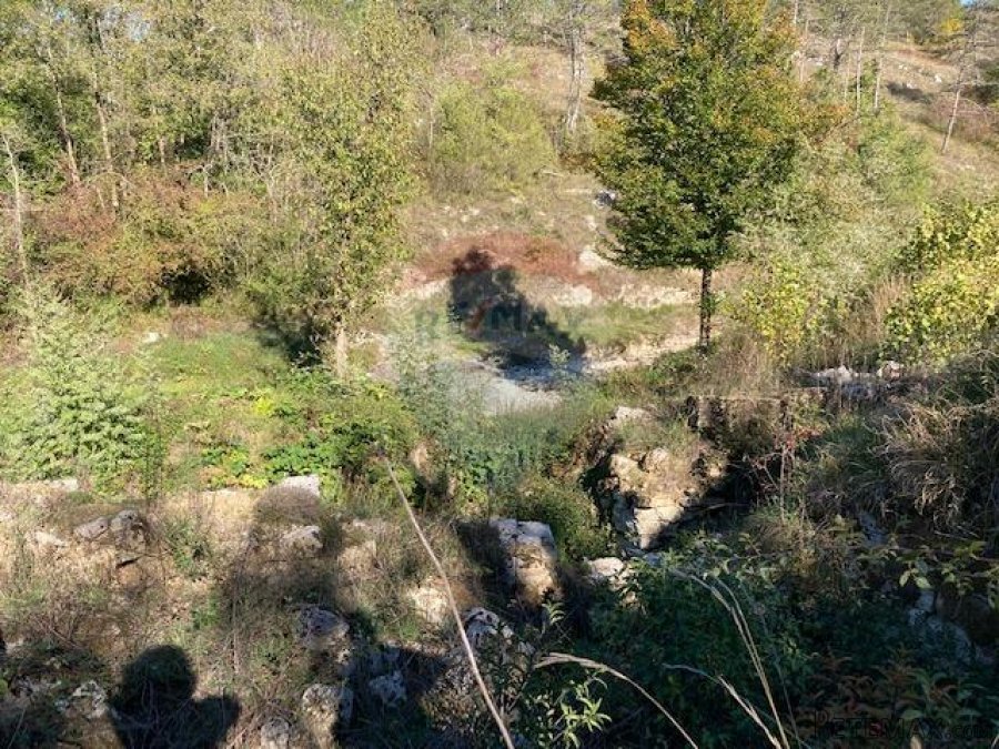 Trviž, zemljište turističke namjene 14374 m2 - 6