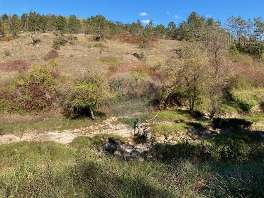 Trviž, zemljište turističke namjene 14374 m2 - 8