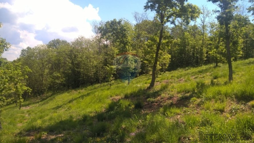 Buje, građevinsko zemljište, 7000m2 - 5