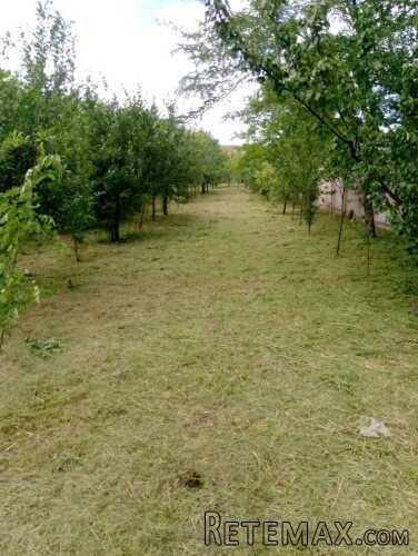 Prodajem porodicnu zgradu u Beloj Crkvi - 19