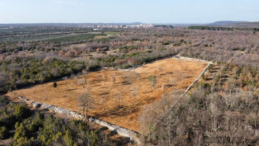 BALE - Poljoprivredno zemljište sa suhozidom 11470 m2