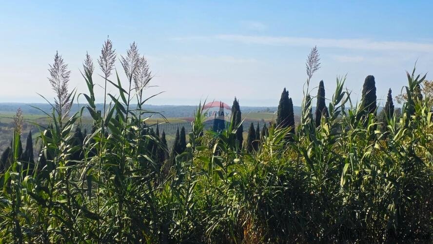 Istra,Buje-Građevinsko zemljište panoramskog pogleda - 2
