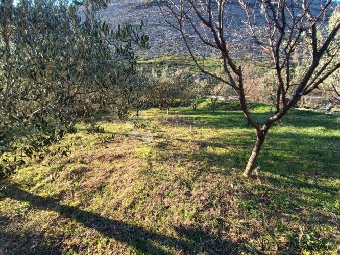 PRILIKA! POLJOPRIVREDNO ZEMLJIŠTE SRINJINE, SPLIT - 2