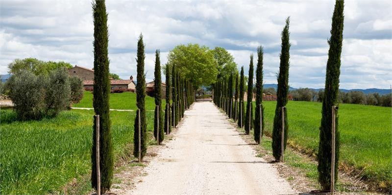 6 bedroom Country House For Sale:..